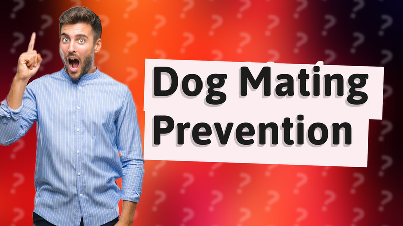 Dog Mating Prevention