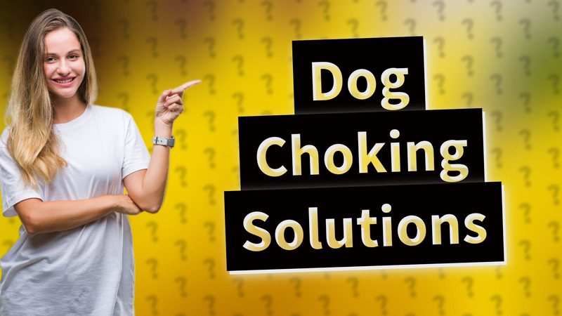 Dog Choking Solutions