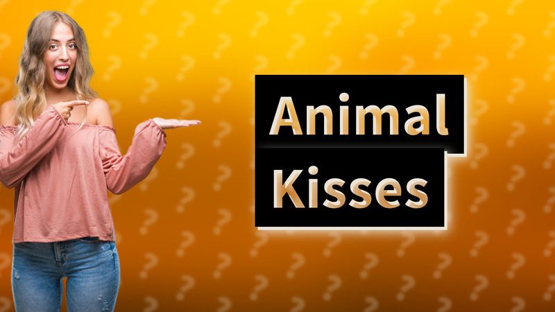 Animal Kisses