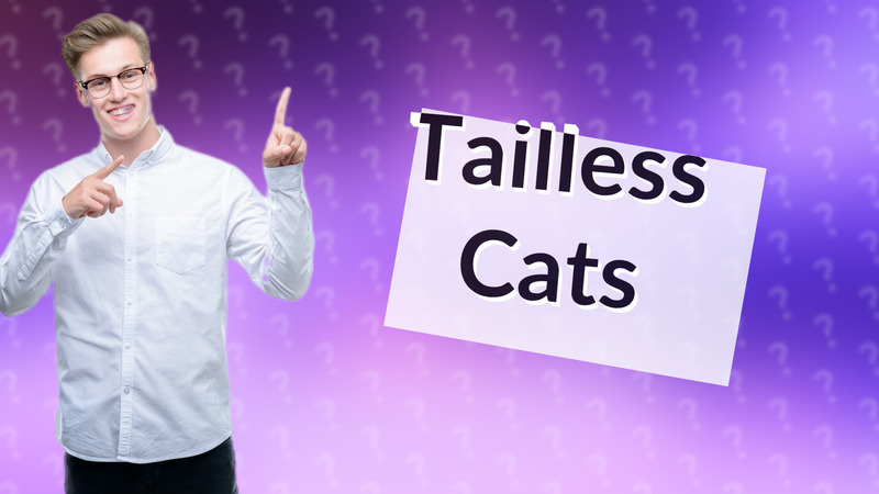 Tailless Cats