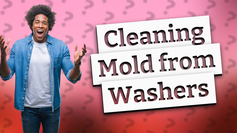 Cleaning Mold from Washers