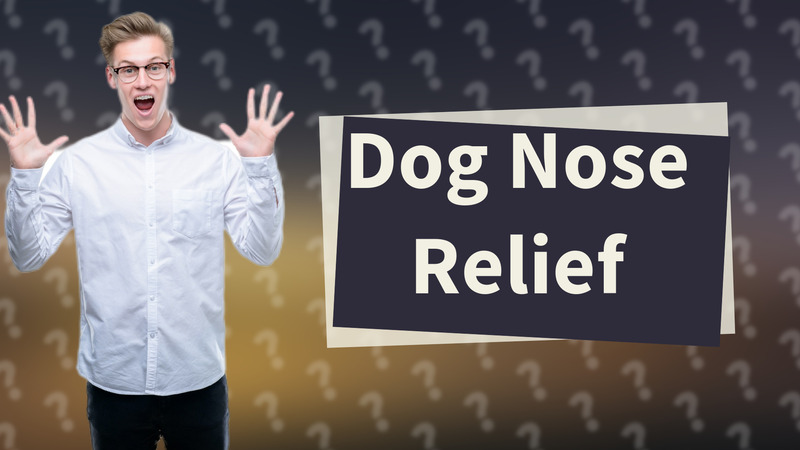 Dog Nose Relief