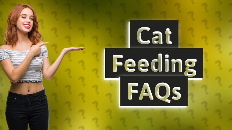 Cat Feeding FAQs