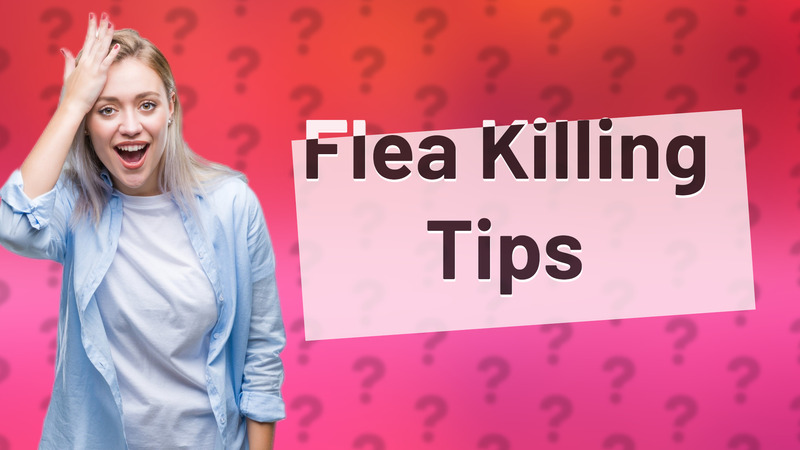 Flea Killing Tips