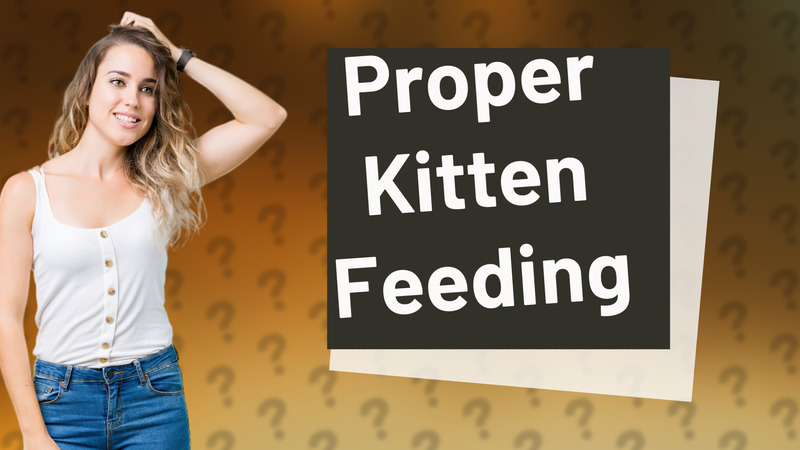 Proper Kitten Feeding