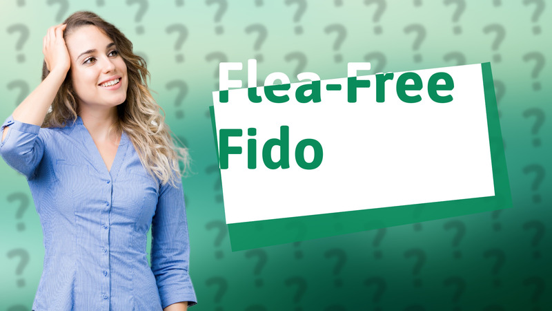 Flea-Free Fido