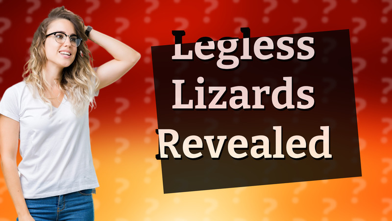 Legless Lizards Revealed