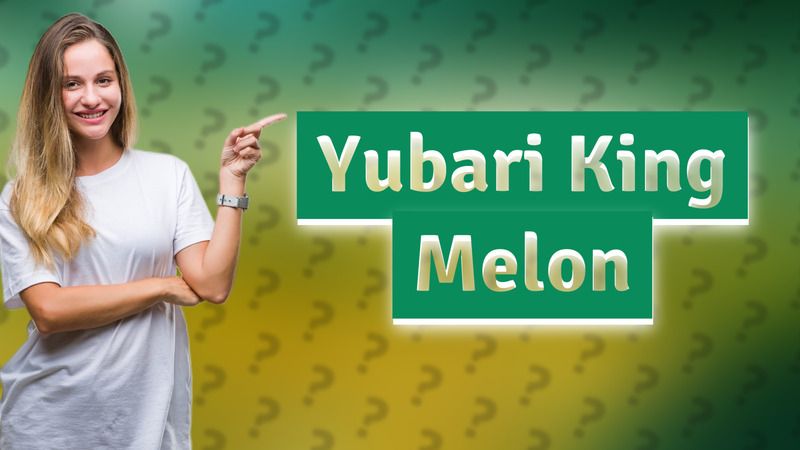Yubari King Melon