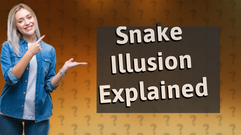 Snake Illusion Explained