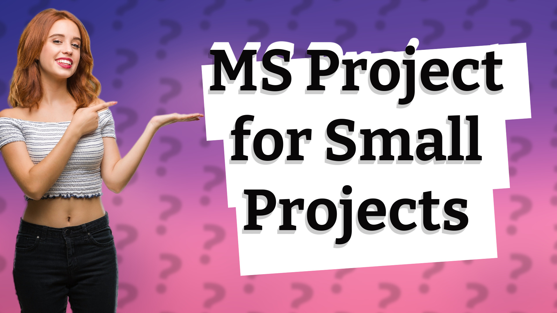 MS Project for Small Projects