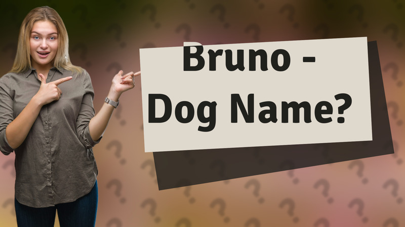 Bruno - Dog Name?