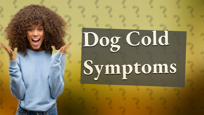 Dog Cold Symptoms