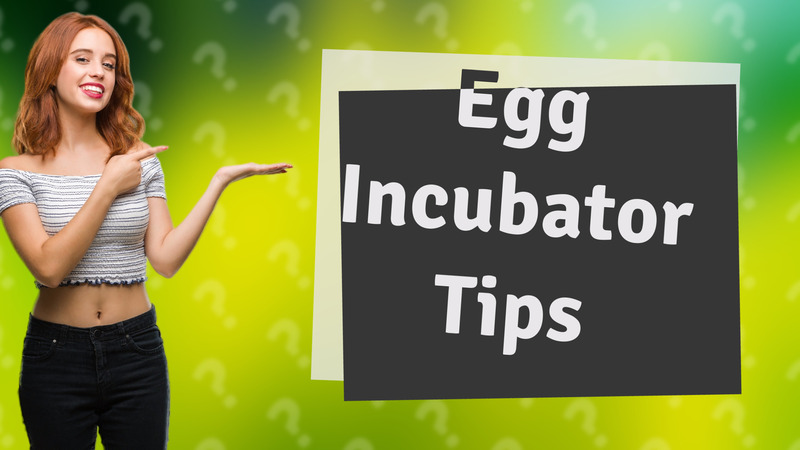 Egg Incubator Tips