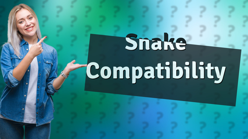 Snake Compatibility