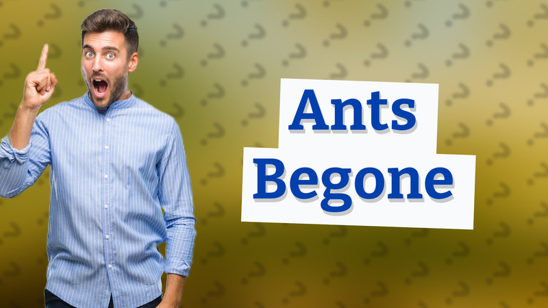 Ants Begone
