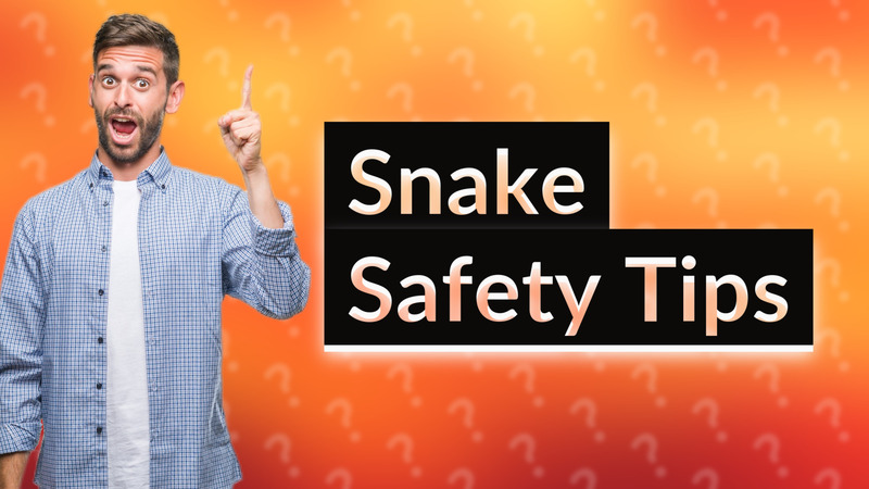 Snake Safety Tips