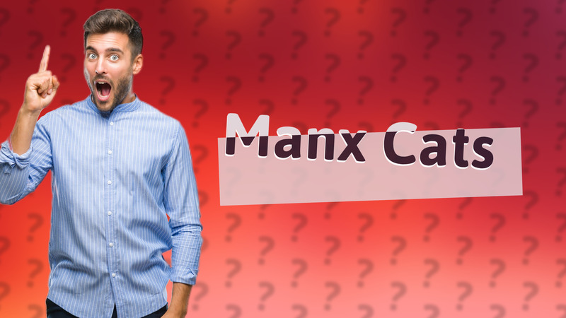 Manx Cats