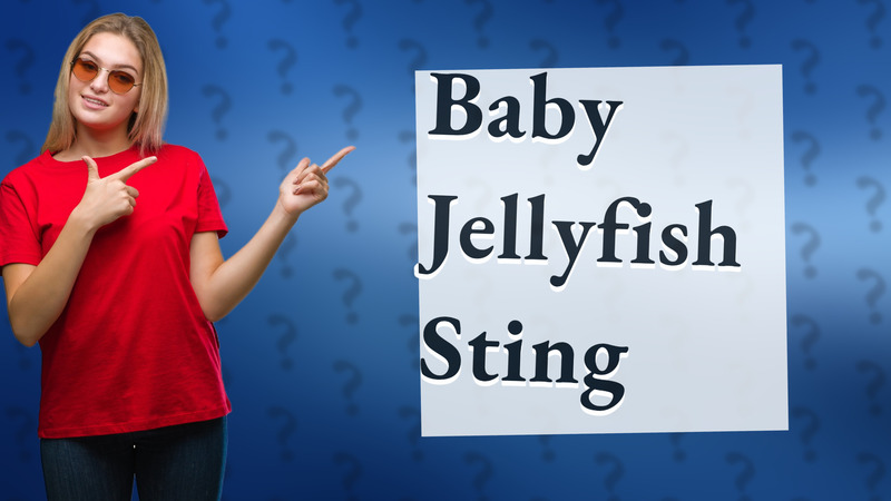 Baby Jellyfish Sting
