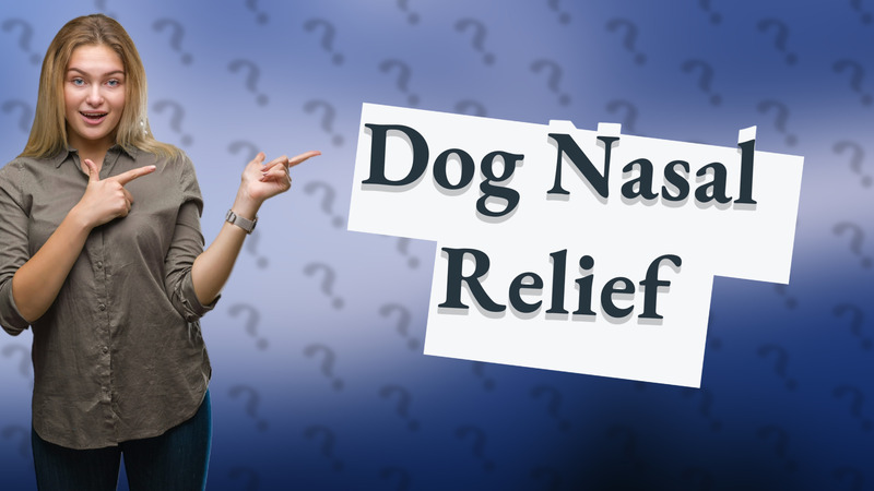 Dog Nasal Relief