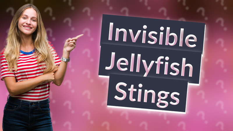 Invisible Jellyfish Stings