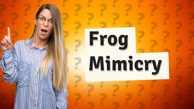 Frog Mimicry