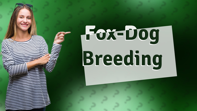 Fox-Dog Breeding
