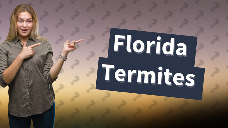 Florida Termites