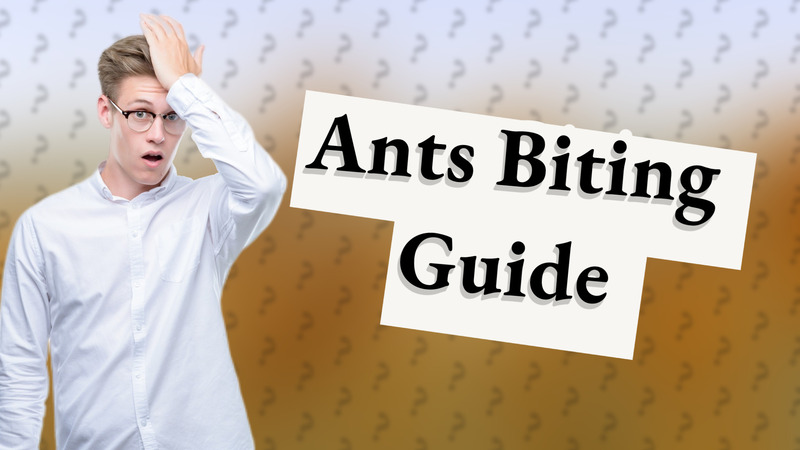Ants Biting Guide