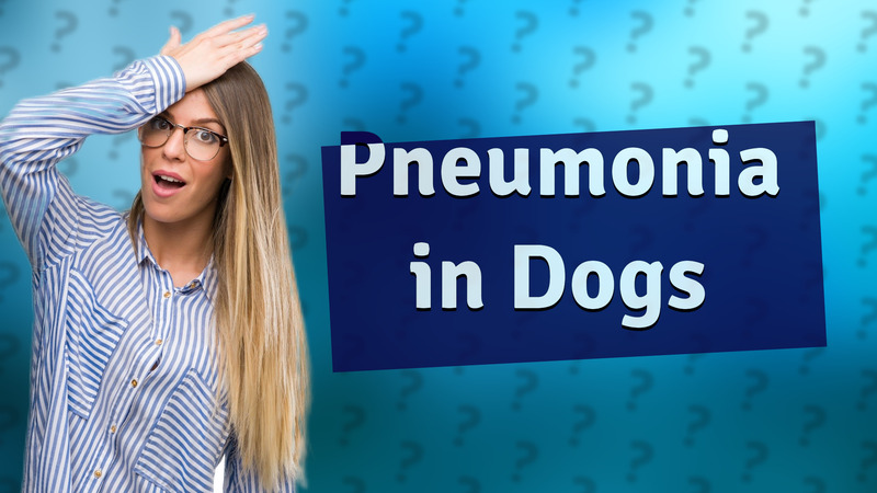 Pneumonia in Dogs