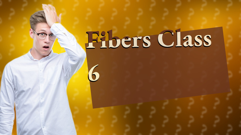 Fibers Class 6