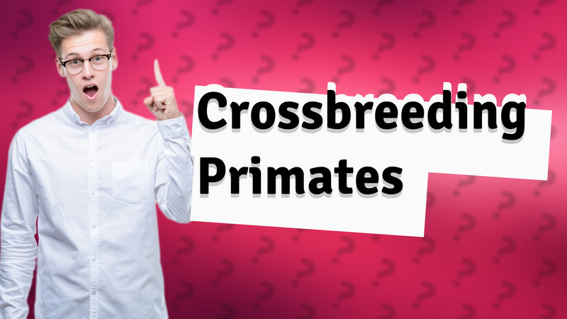 Crossbreeding Primates