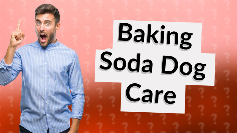 Baking Soda Dog Care