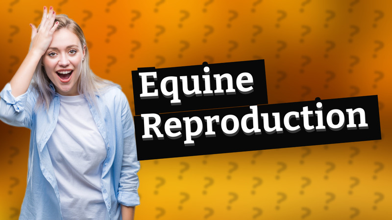 Equine Reproduction