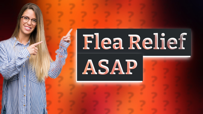 Flea Relief ASAP