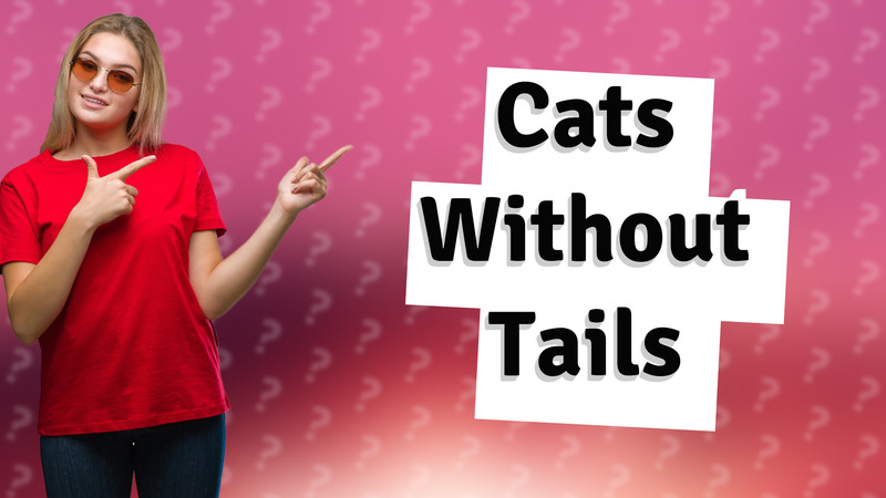 Cats Without Tails