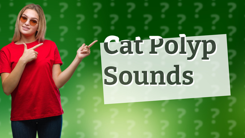 Cat Polyp Sounds