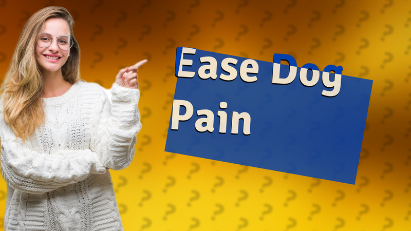 Ease Dog Pain