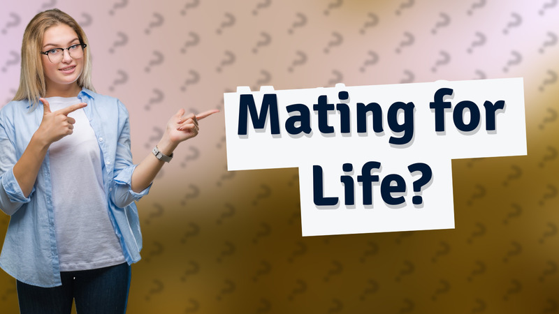 Mating for Life?