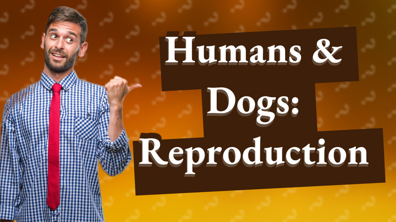 Humans & Dogs: Reproduction