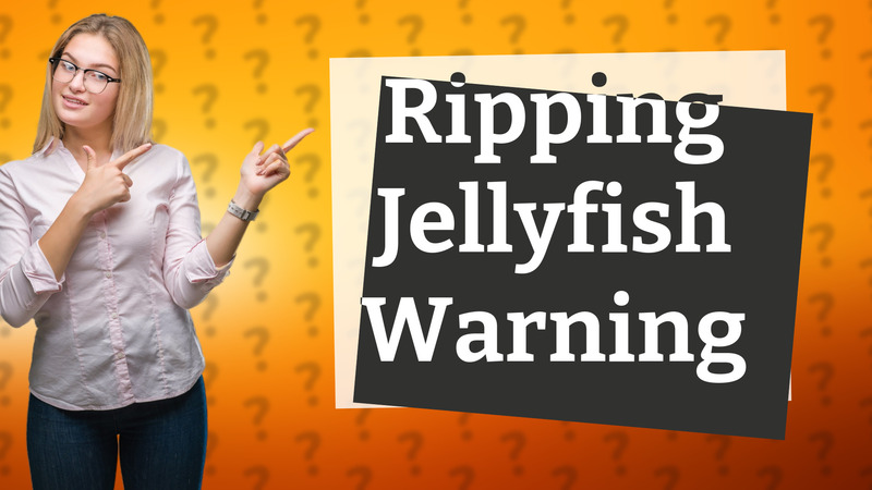 Ripping Jellyfish Warning