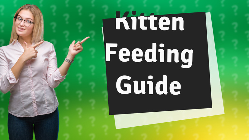 Kitten Feeding Guide