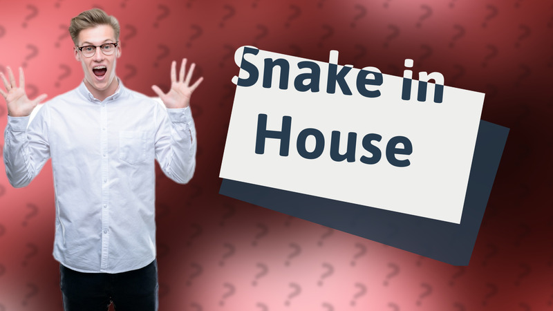 Snake in House