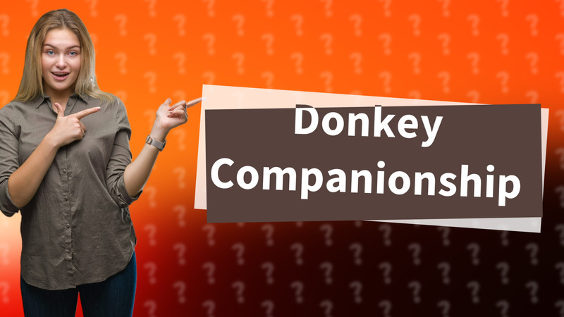 Donkey Companionship