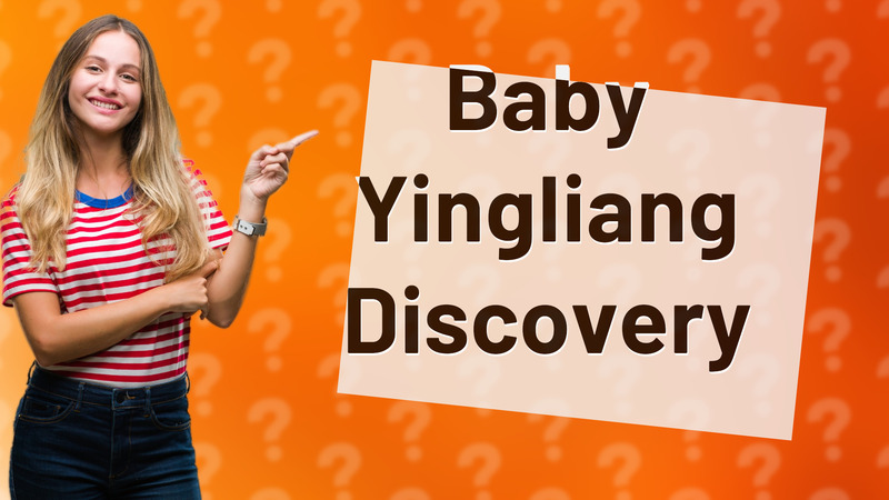 Baby Yingliang Discovery