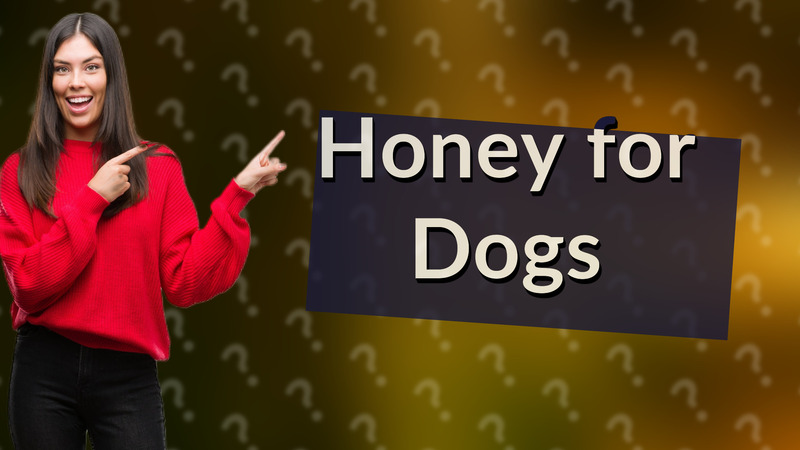 Honey for Dogs