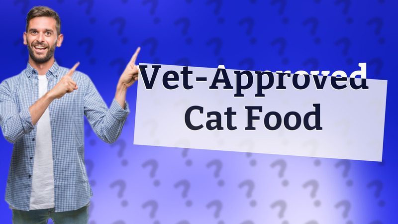 Vet-Approved Cat Food