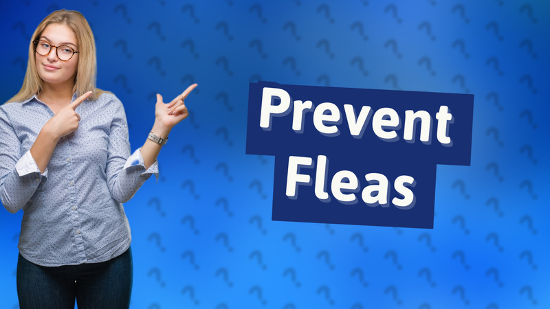 Prevent Fleas