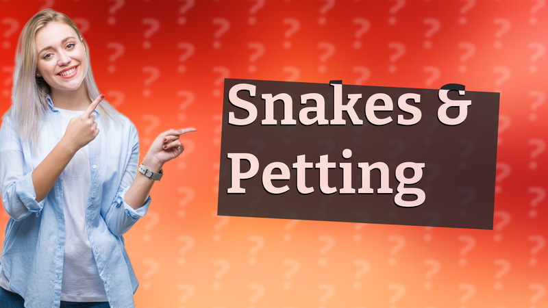 Snakes & Petting