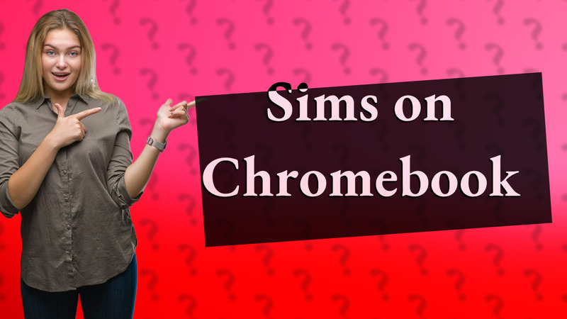 Sims on Chromebook