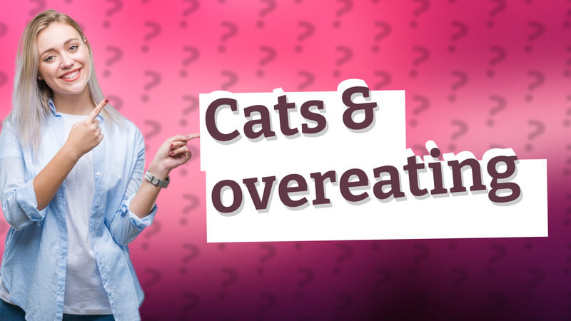 Cats & overeating